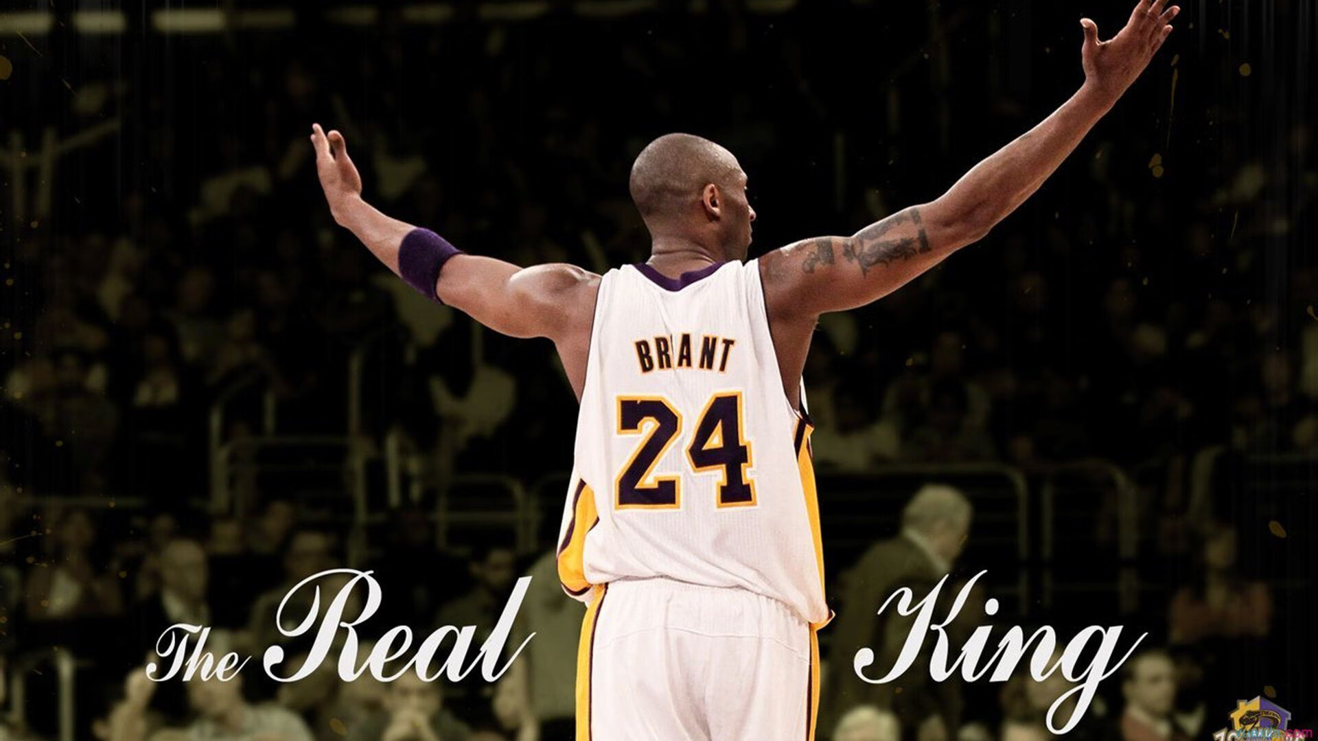 中国篮球的未来星光闪耀,中国篮球现状及未来发展走向